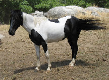 kal8015002.jpg